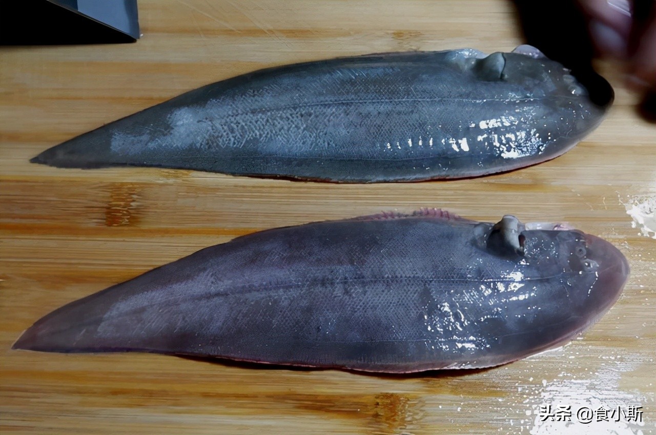 两种最好吃的鱼,最好吃的100种鱼图片