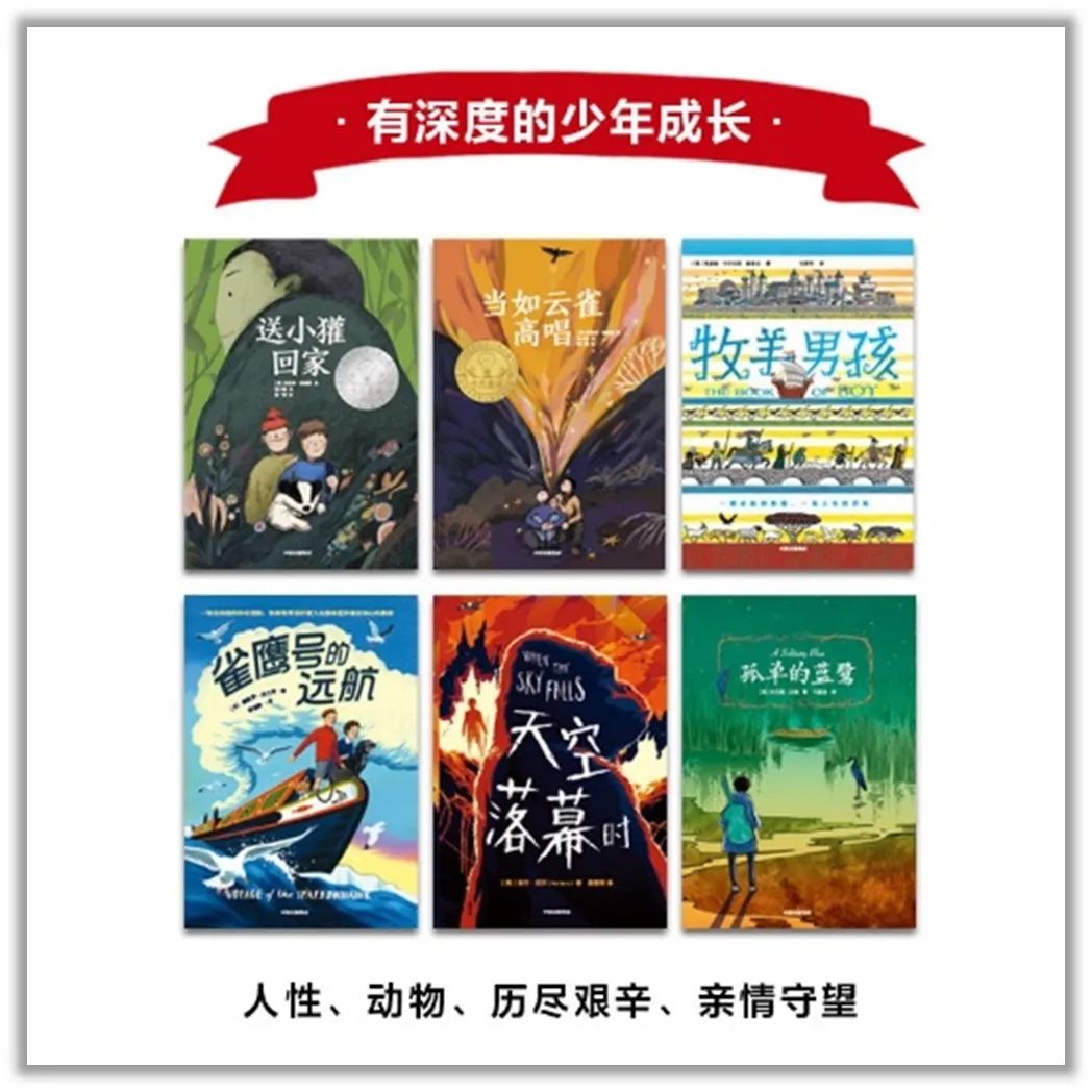 四项国际儿童文学大奖，四大成长主题，这套大奖小说礼盒别错过