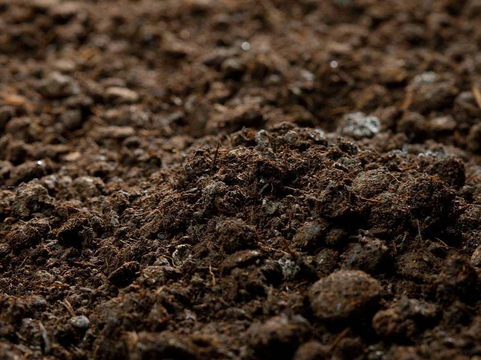 为什么能做到人均80斤茶叶？不产茶的东莞，为何如此“狂热”？