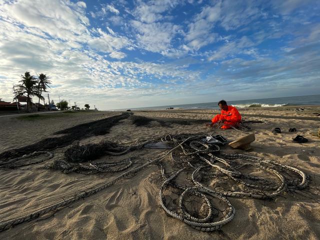 海南印象：女人太能干了，海边晒的大鱼*你干**认识吗？
