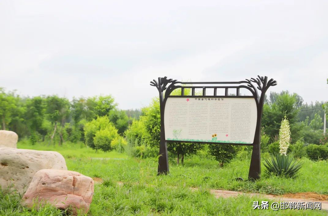 峰峰网红打卡地,寓教于玩幼儿园