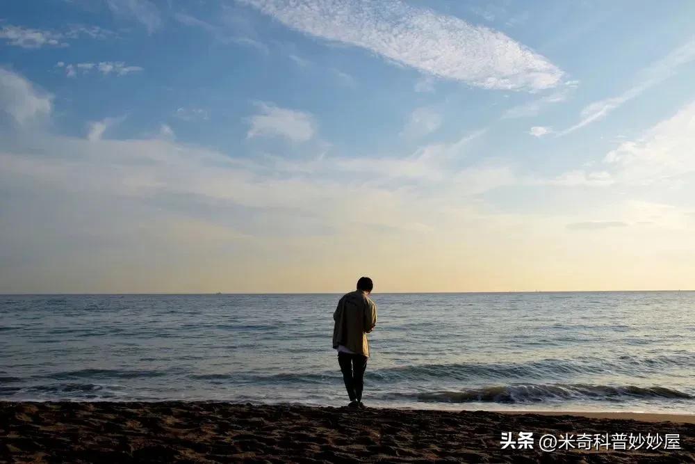 我室友因为卖贴身衣物而被网爆的经历，当今的恋物癖真的很可怕