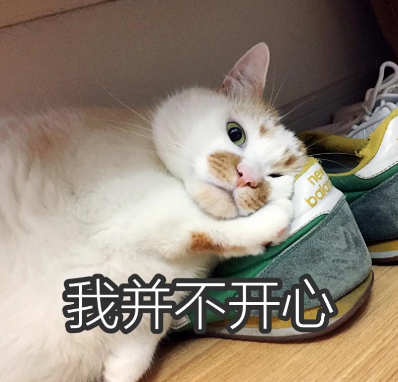 到底该不该揍猫,真的能忍住不揍猫么