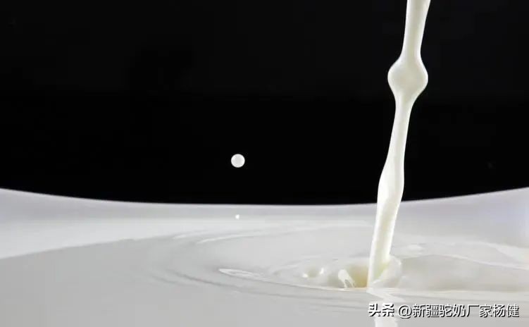 骆驼奶被称为什么呢,骆驼奶的真相大揭秘