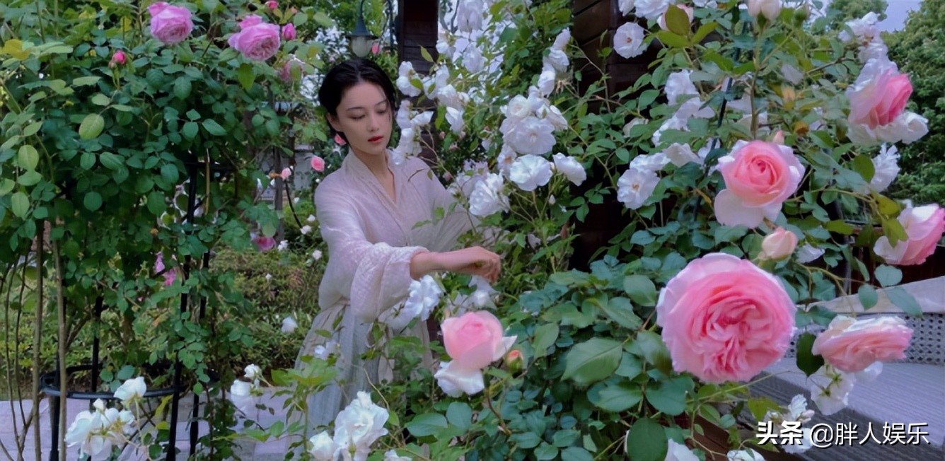 张馨予跟李晨为什么分手,张馨予与李晨分手后事业顺利吗