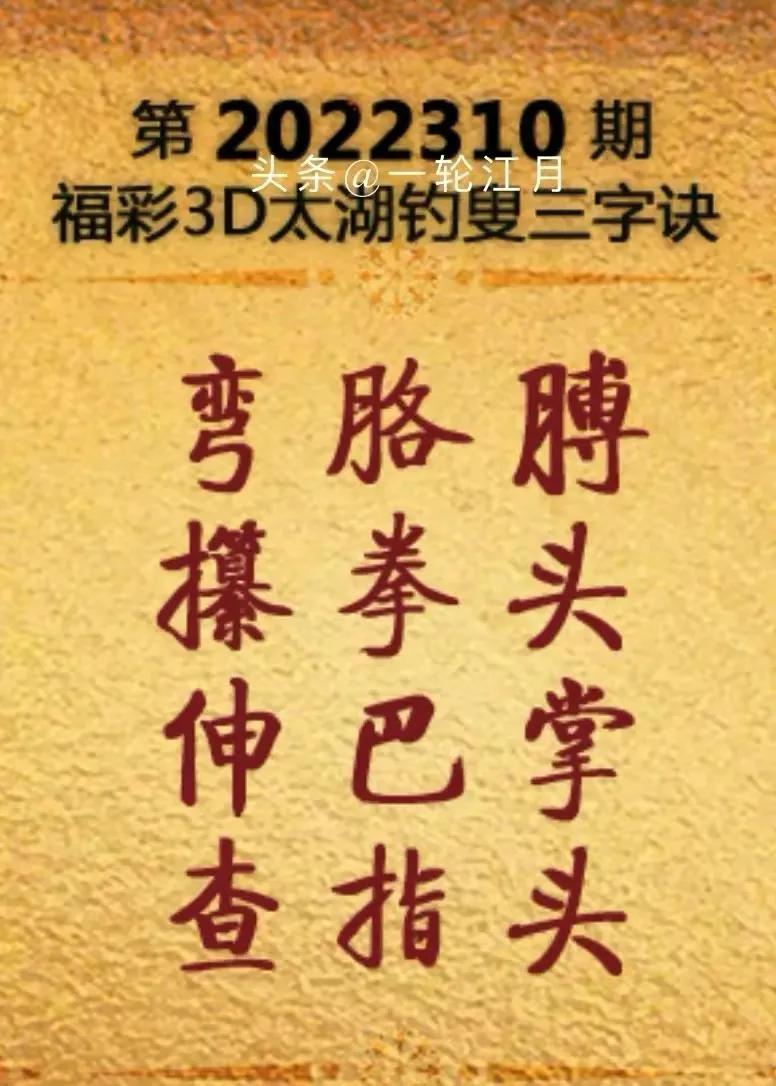 3d第310期试机号,今日3d晒票310期