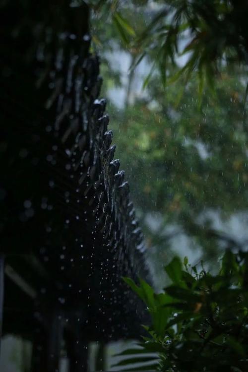情感散文夏日听雨,散文夏日情怀