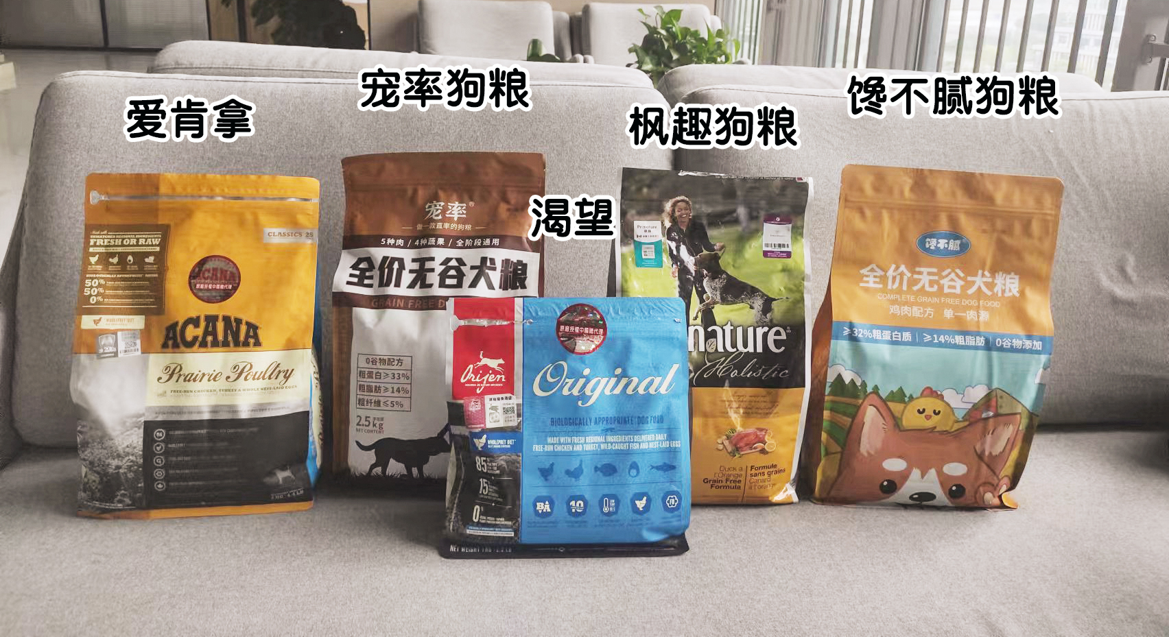 狗狗大便里有白色长条的虫怎么办,狗狗肚子有虫的症状表现