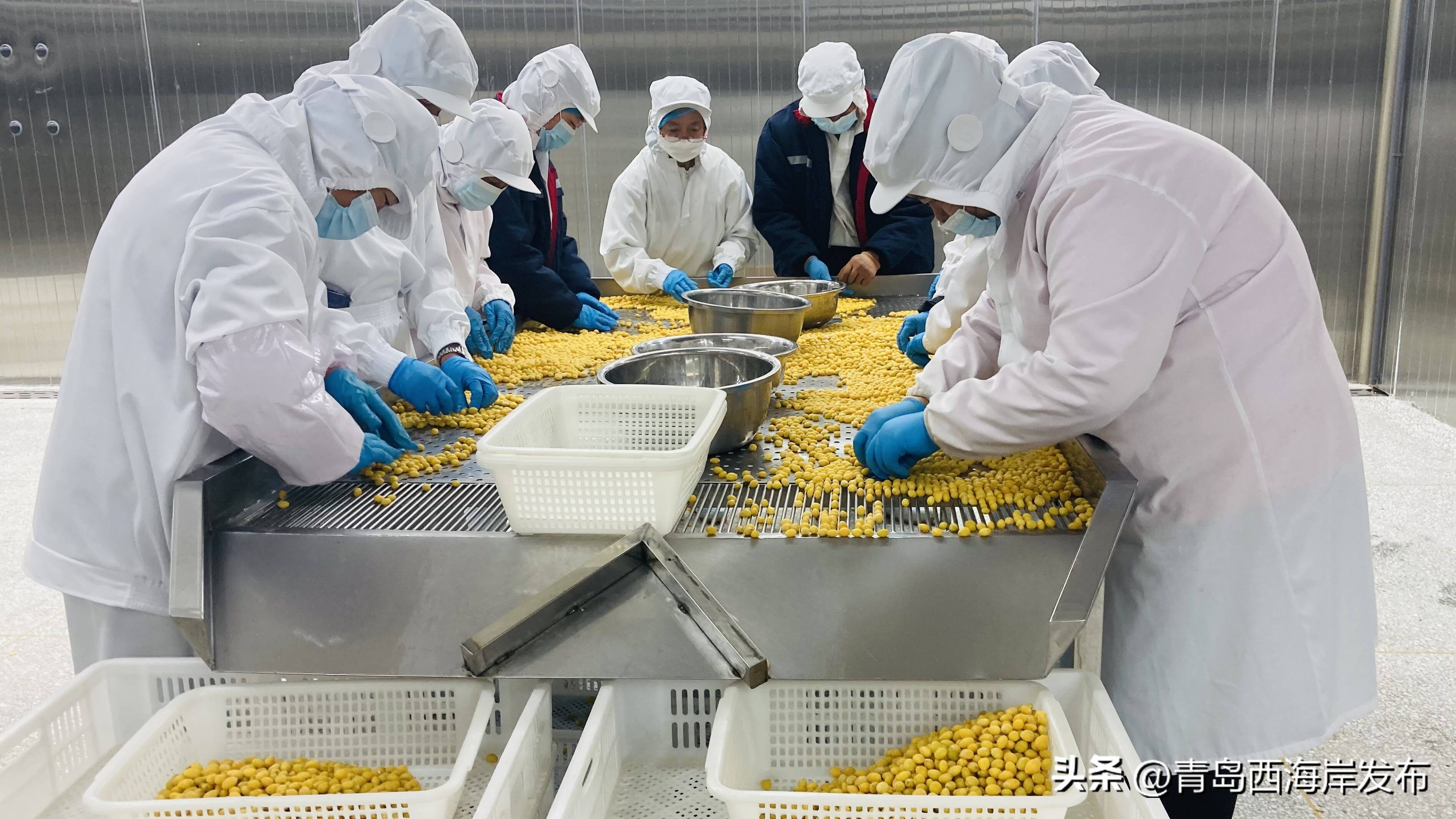 青岛保姆式服务助企,海口西海岸保姆