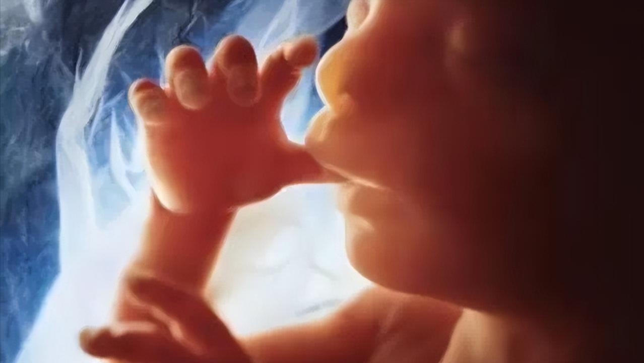 一个女性没有子宫会怎样,一个女性没有子宫会怎么样