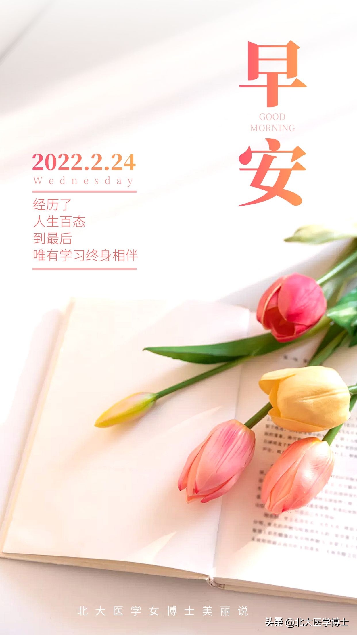 尿酸高痛风患者可以服用青霉素吗,老人尿酸高引起的膝盖疼用啥药