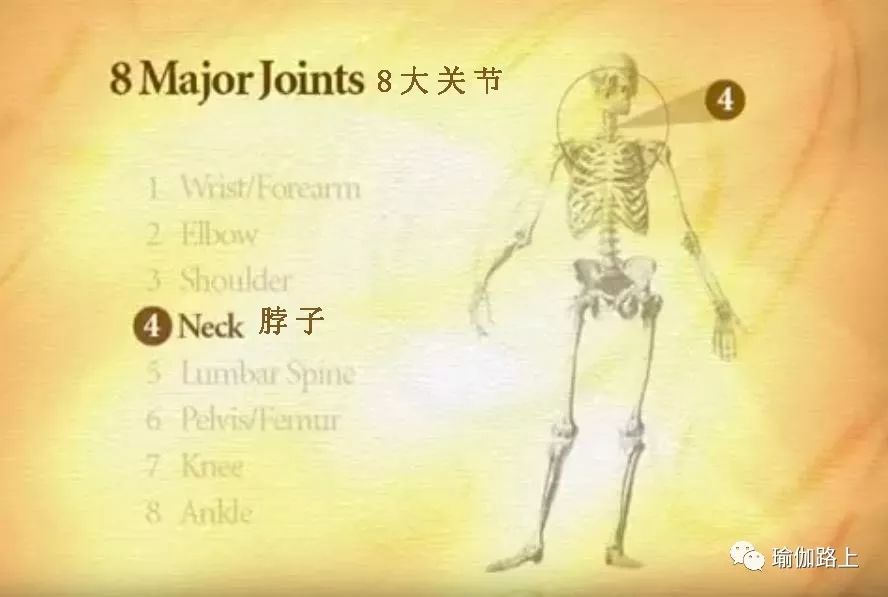 练瑜伽半年怎么走向高阶体式,练瑜伽我们不需要追求高难度体式