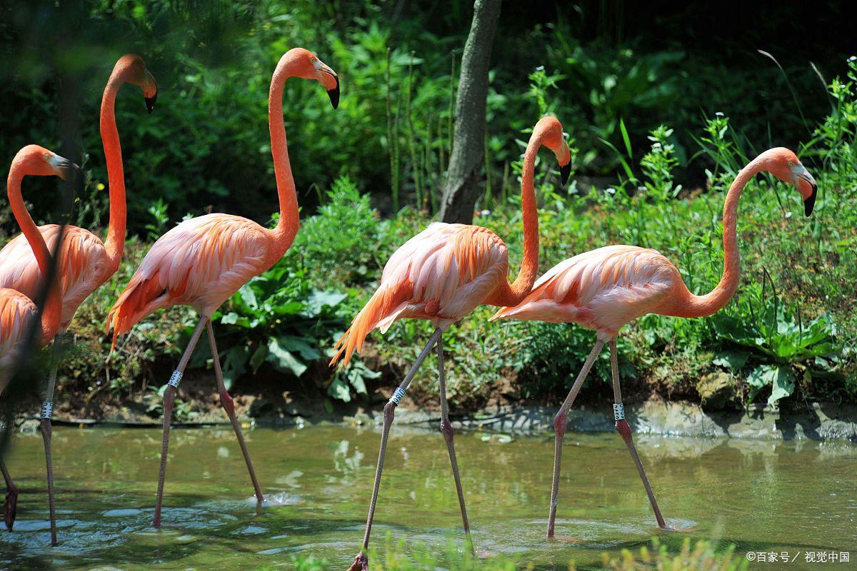 苏州必去的景点排名前十,苏州比较值得去的景点