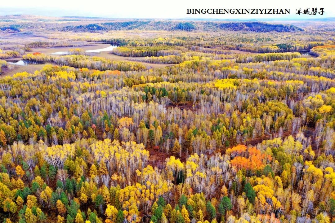 秋天大兴安岭最美的地方,秋天美丽的大兴安岭