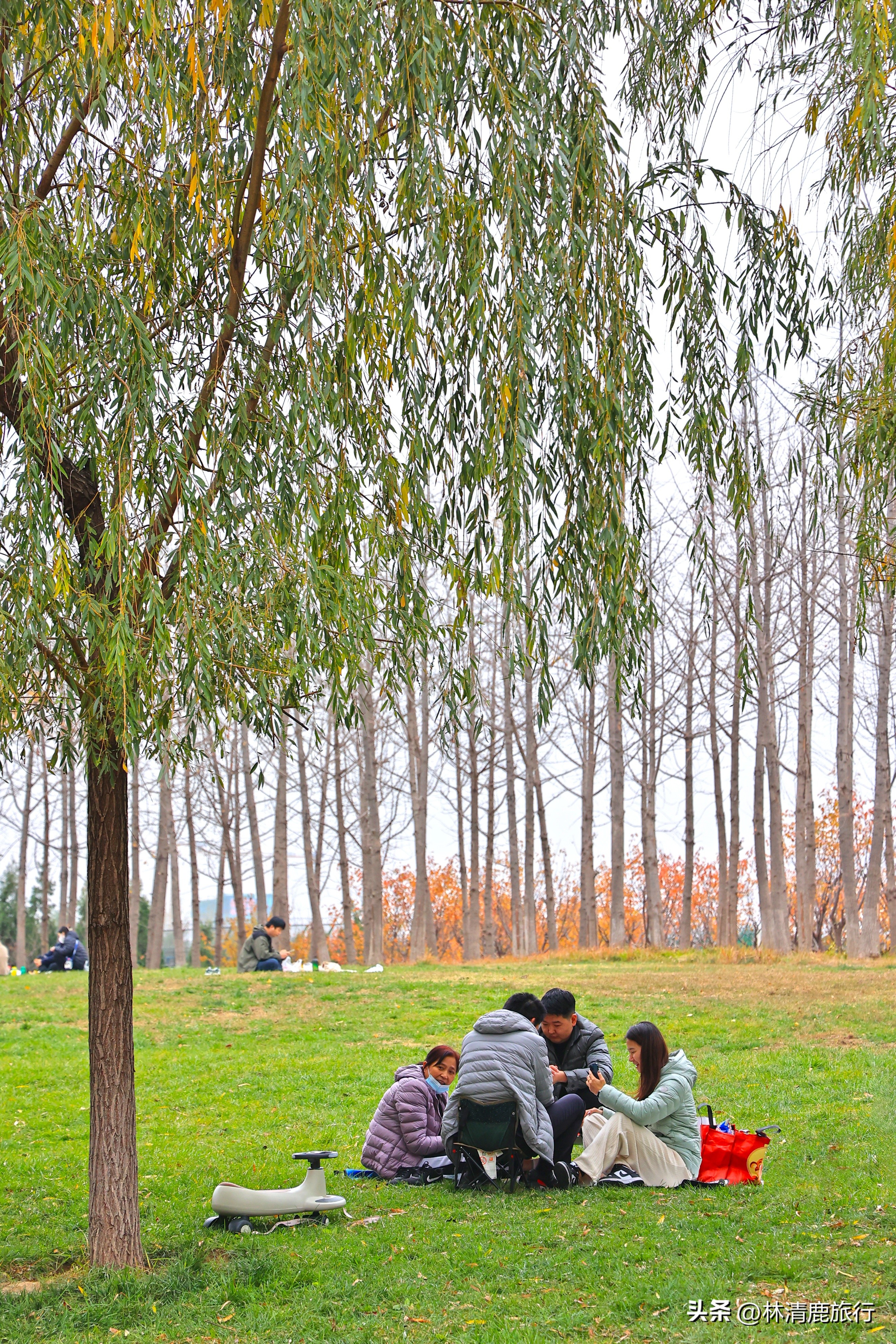 郑州哪个公园有火车,郑州有铁轨的公园