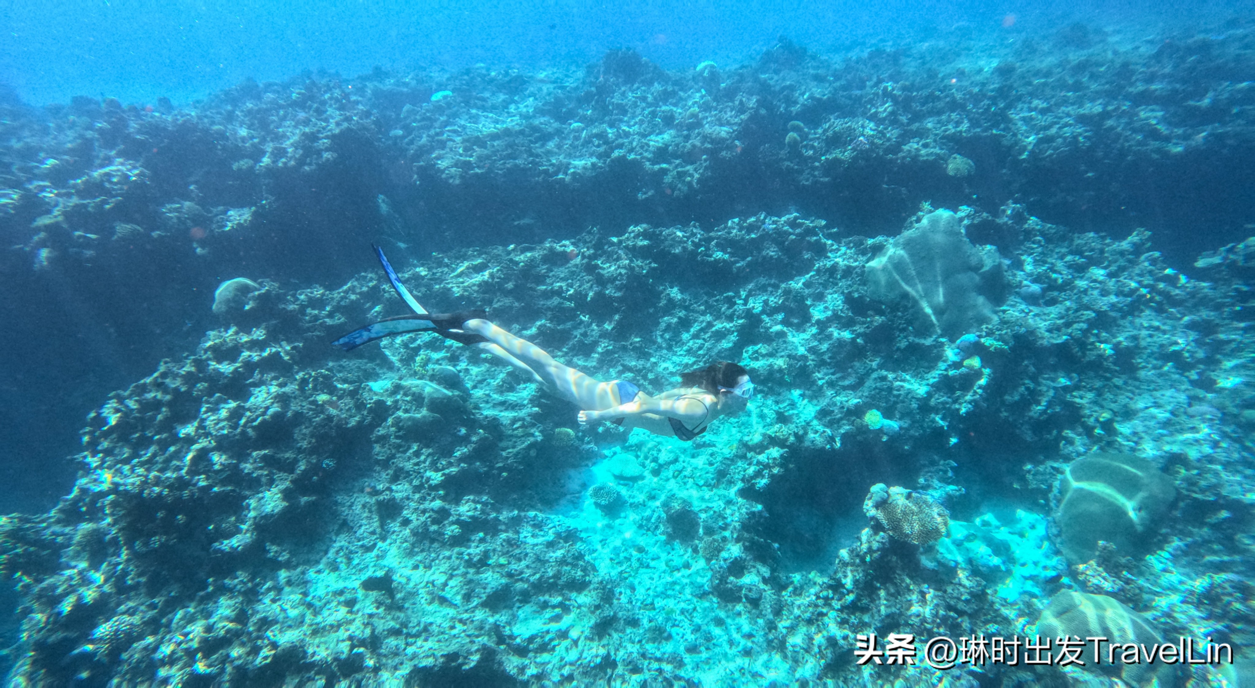 超刺激的海钓视频,超刺激的鲨鱼