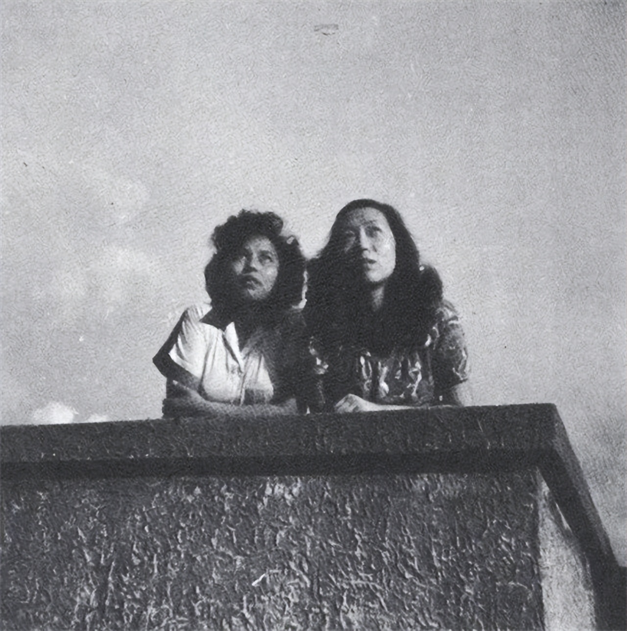 张爱玲穿杨绛奇装异服,杨绛对张爱玲的评价