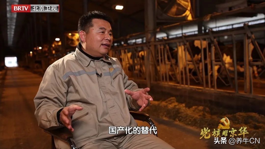 北京卫视｜奶牛育种届的“牛爸爸”麻柱