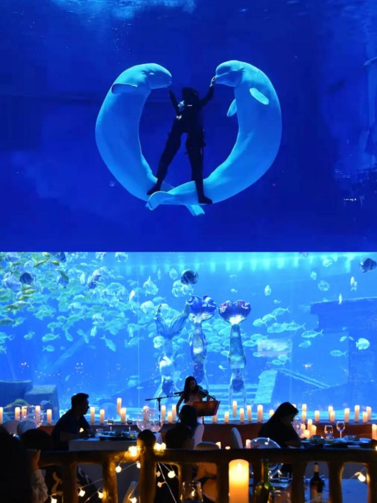 昆明六一出行攻略,昆明六一儿童节游玩推荐