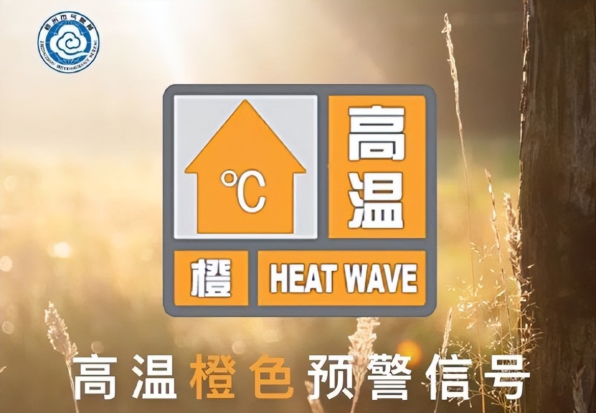 高温38度！河南战浙江汗流浃背，裁判引争议：与VAR交流5分钟