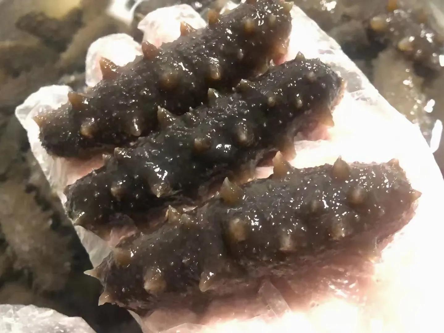 比海参更好的海鲜,海参鲍鱼鲜活海鲜