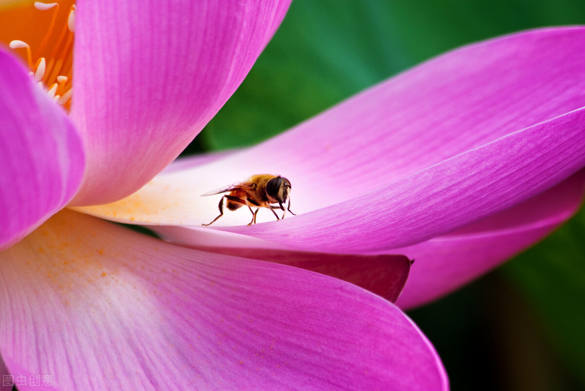 心灵加油站爱自己的n种方式,作为一个妈妈应该具备的心理准备