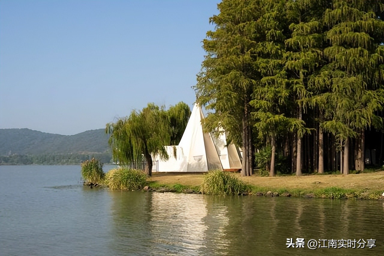 太湖鼋头渚樱花谷唯美浪漫,无锡太湖鼋头渚赏樱攻略