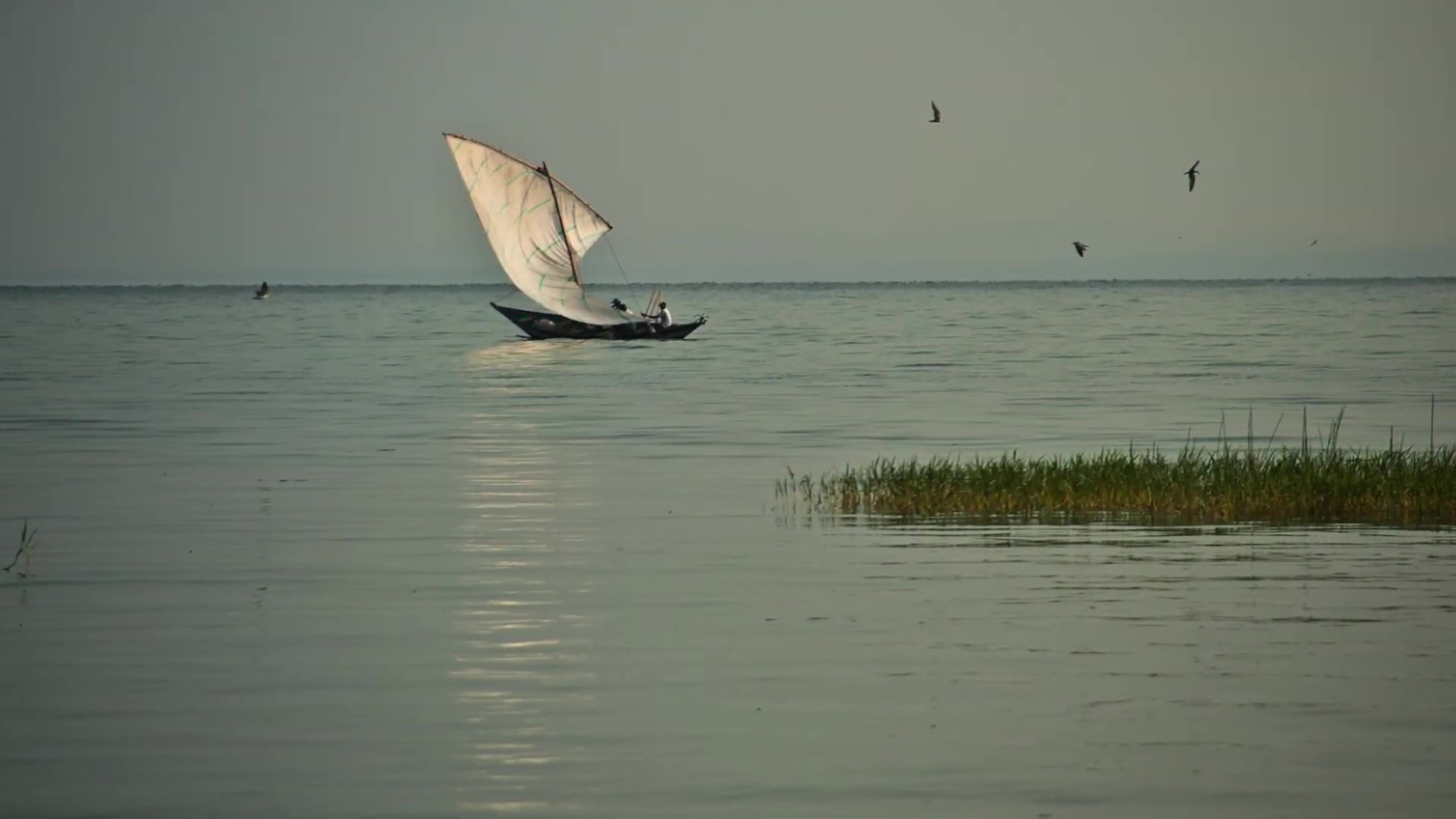 真实版闪电风暴！地球上最危险的地方？每年发生118万次闪电