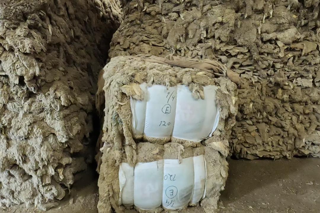 乌拉圭女老板出口羊皮，做成UGG价格翻100倍，成本才2美金