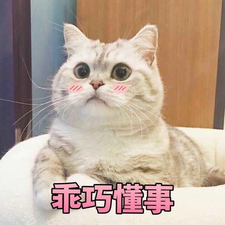 老人常说的招财猫,招财猫的寓意与风水禁忌
