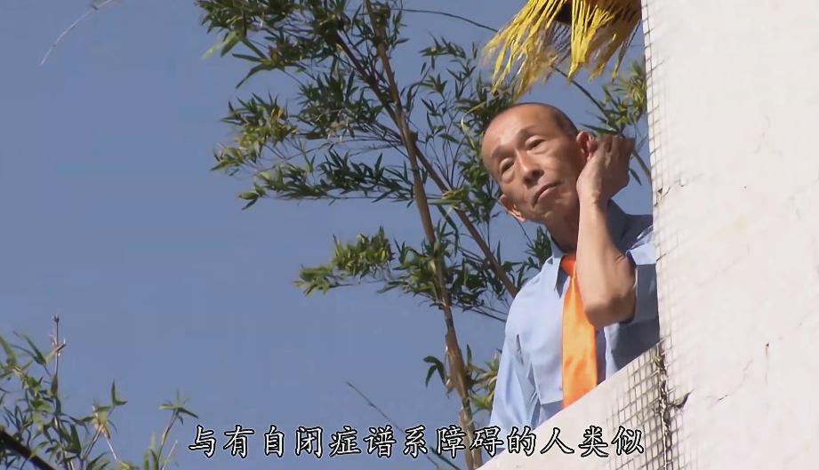 2019轻松下饭的豆瓣高分综艺,豆瓣评分9分以上的综艺