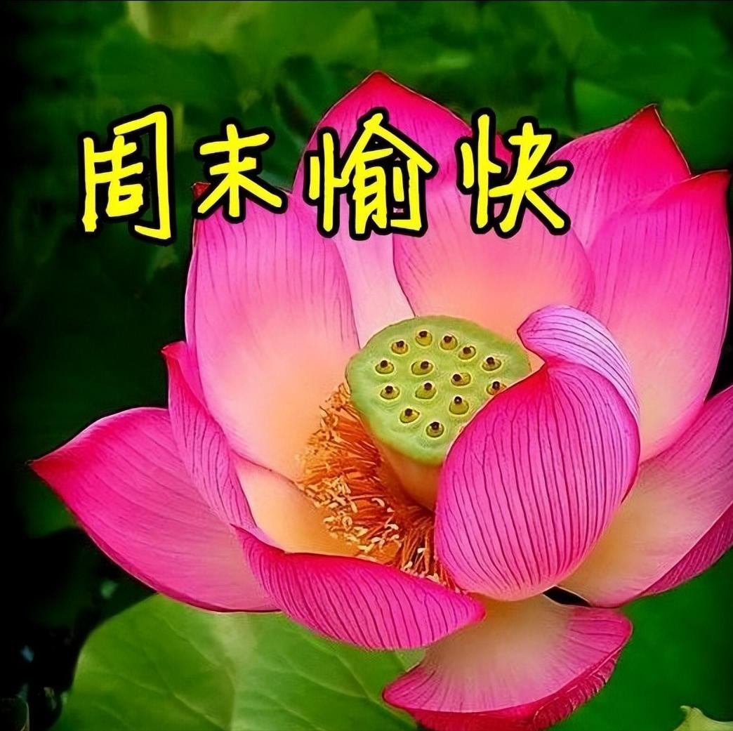 周末早安简单一句话和图片,周一早安最美的句子图片