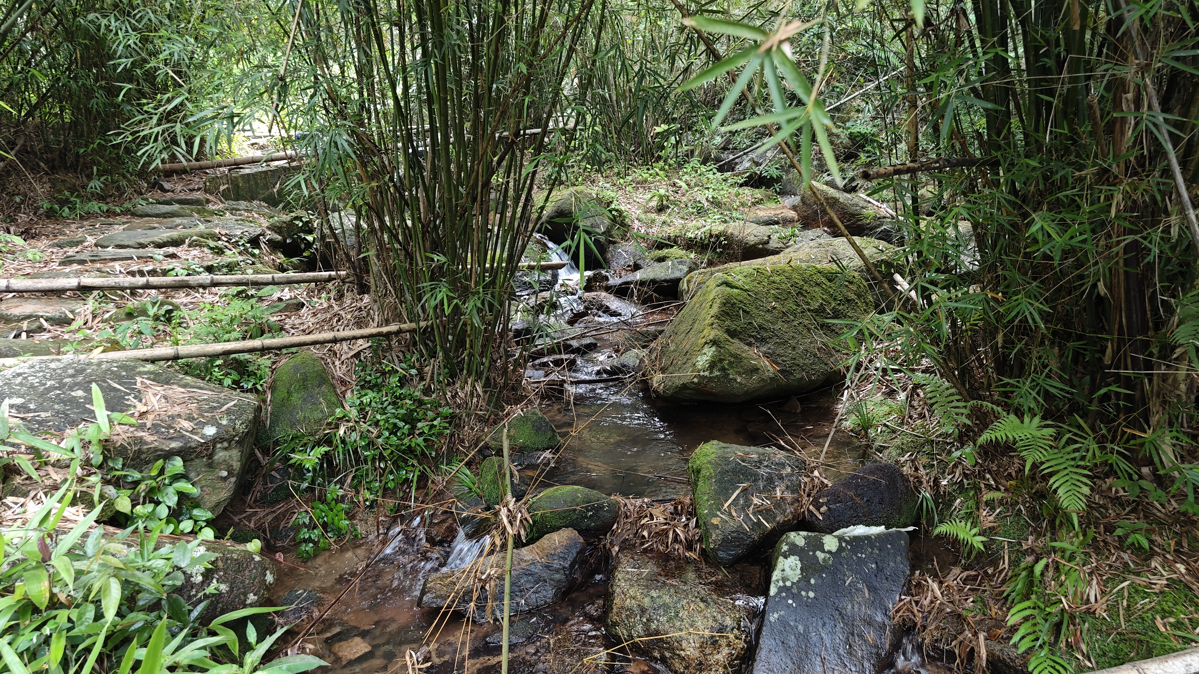 惠州夏日避暑胜地南昆山,惠州南昆山溯溪玩水的地方