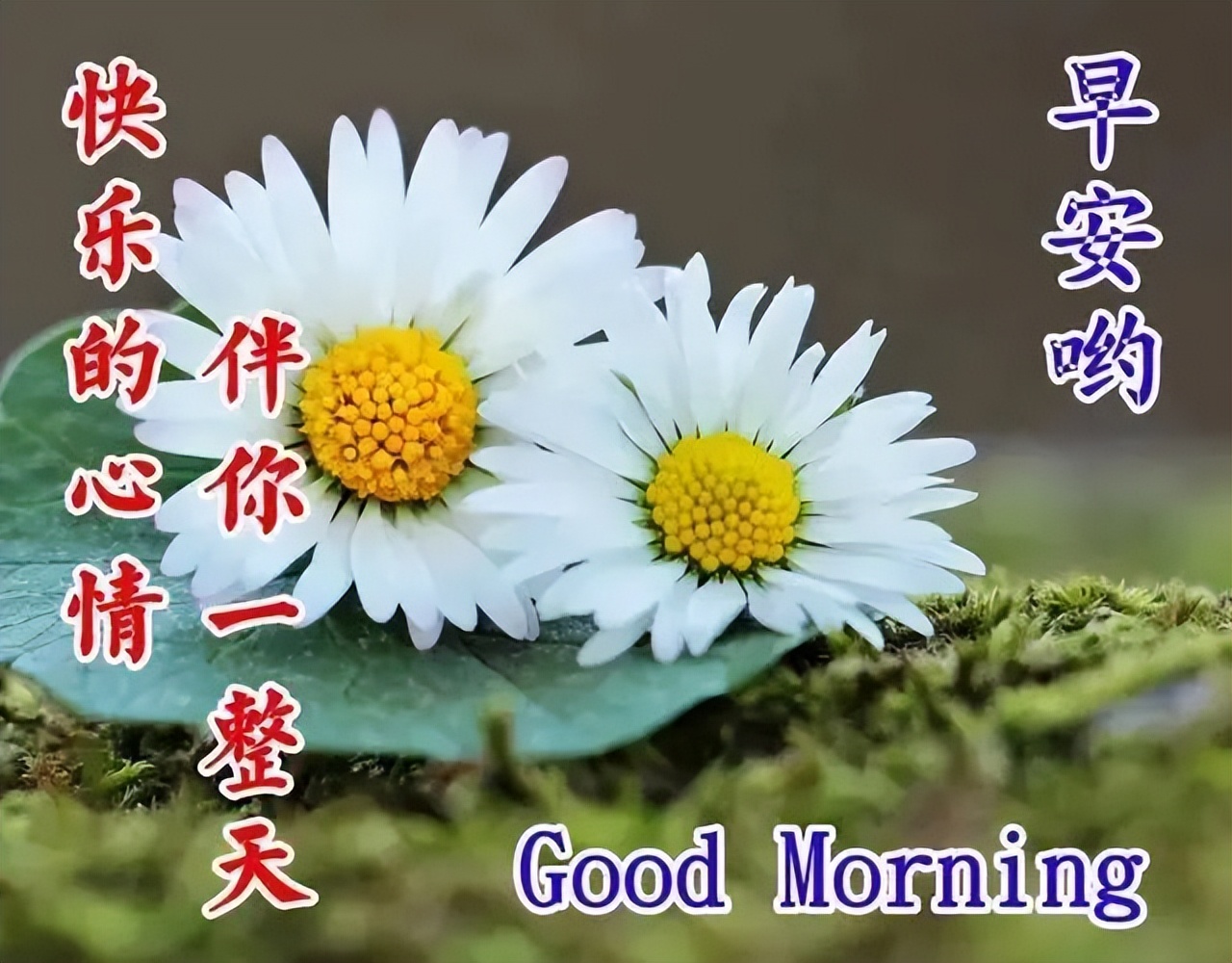 朋友关心问候语暖心感动的句子,问候祝福朋友开心快乐的温馨句子