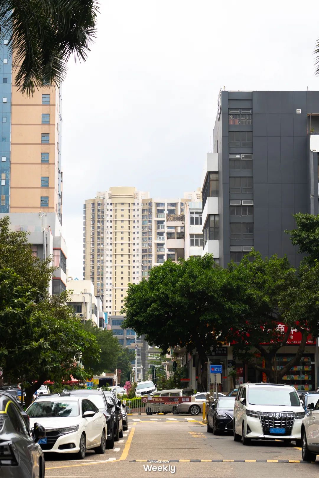 从深圳出发的特种兵一日游,特种兵式旅游深圳出发