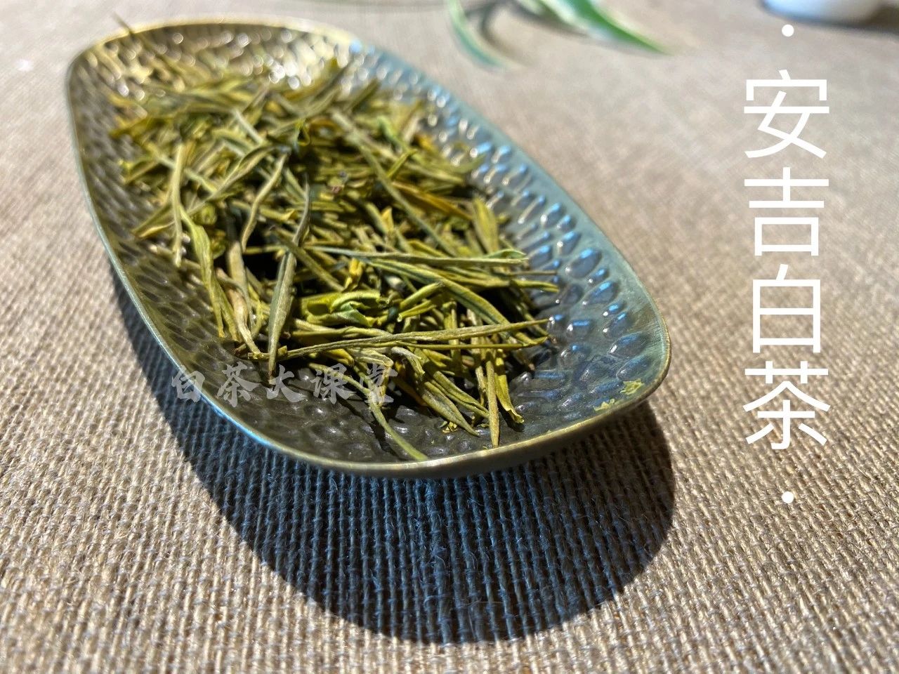 安吉白茶是六大茶类的白茶吗,六大茶类安吉白茶是什么