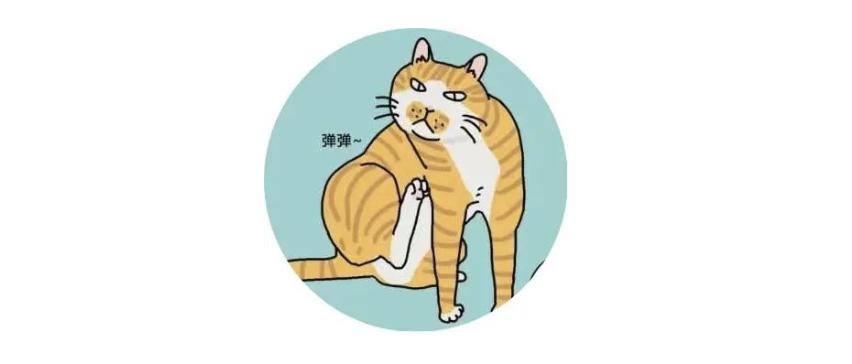 猫咪上火的症状和治疗方法,猫咪嘴巴上火起泡怎么快速消除