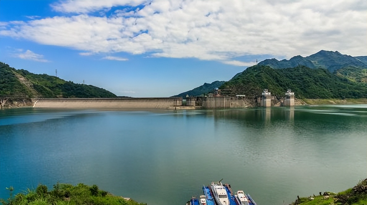 浮游植物增加会水质富营养化吗,浮游植物对水体起哪些作用
