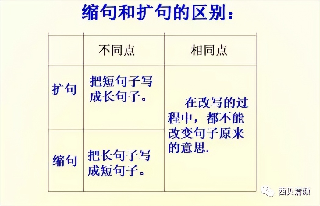 小学语法知识点大全集,小学英语语法知识点
