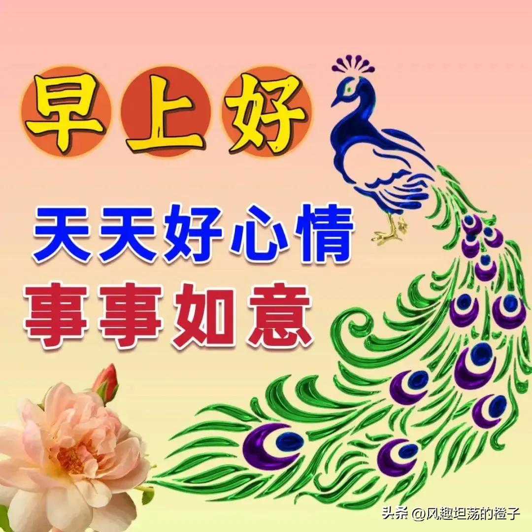 最新早上好的问候美句简短一点,最精美的短句早上好问候语