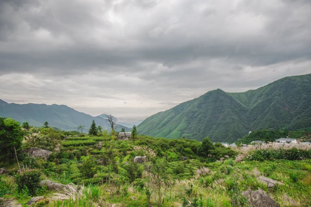 万里茶道第一镇铅山休闲一日游,铅山县万里茶道世界遗产