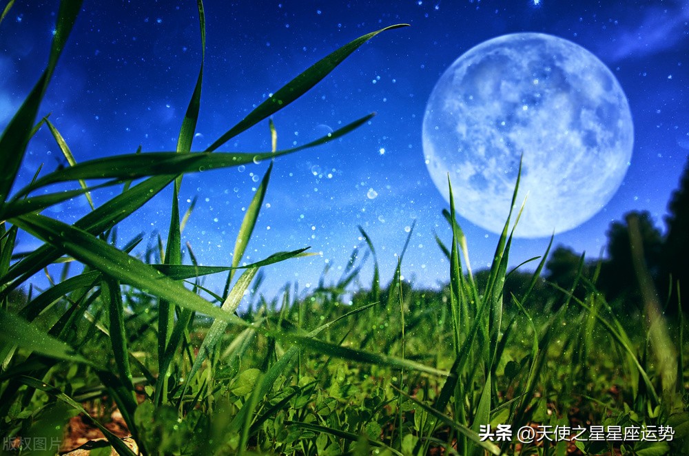 娜迪亚2021年3月8至14日星座运势,娜迪亚嘉珊星座2022年1月12日运势