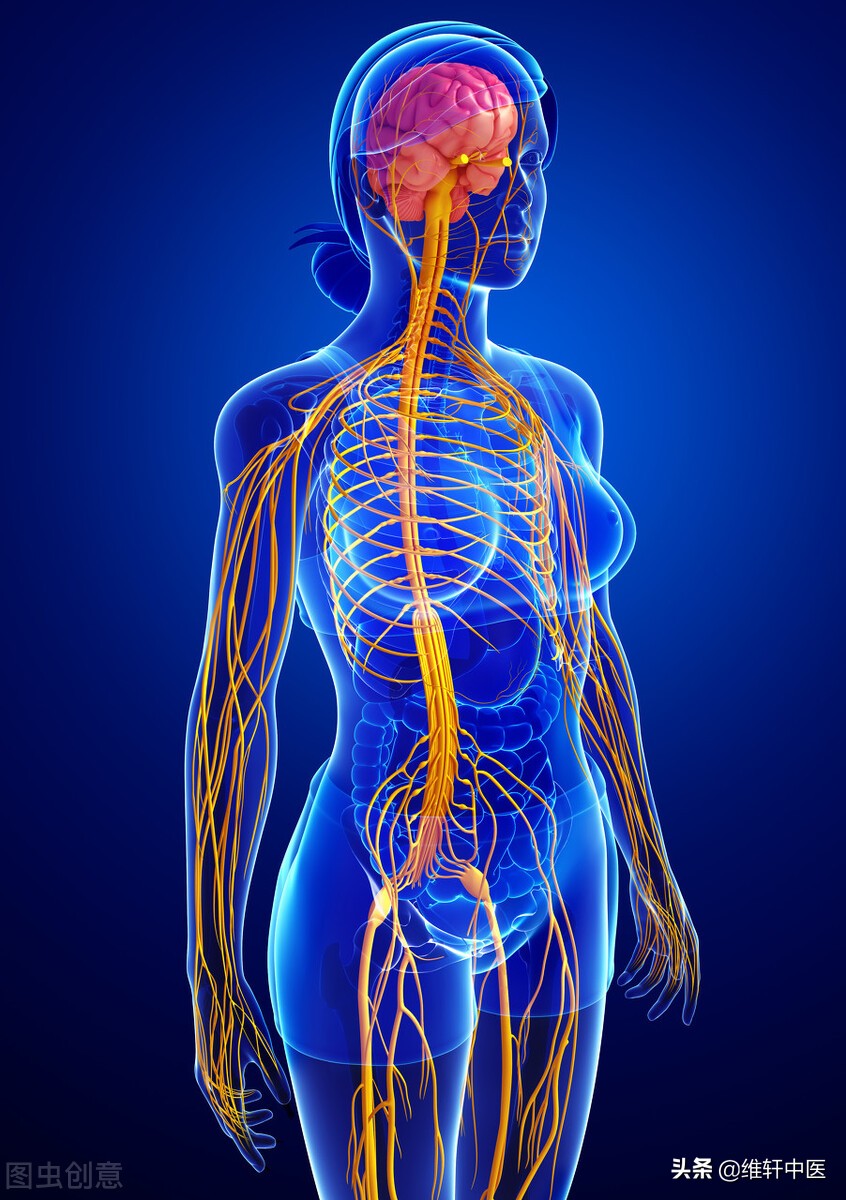 腹诊推拿手法视频,腹疗中医