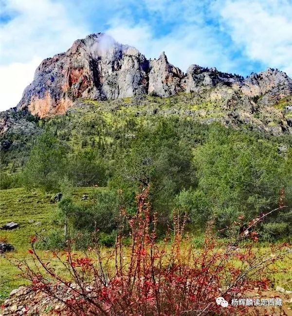 读走*藏西**·昌都|日沃白玛神山,一朵在绿毯中盛开的莲花