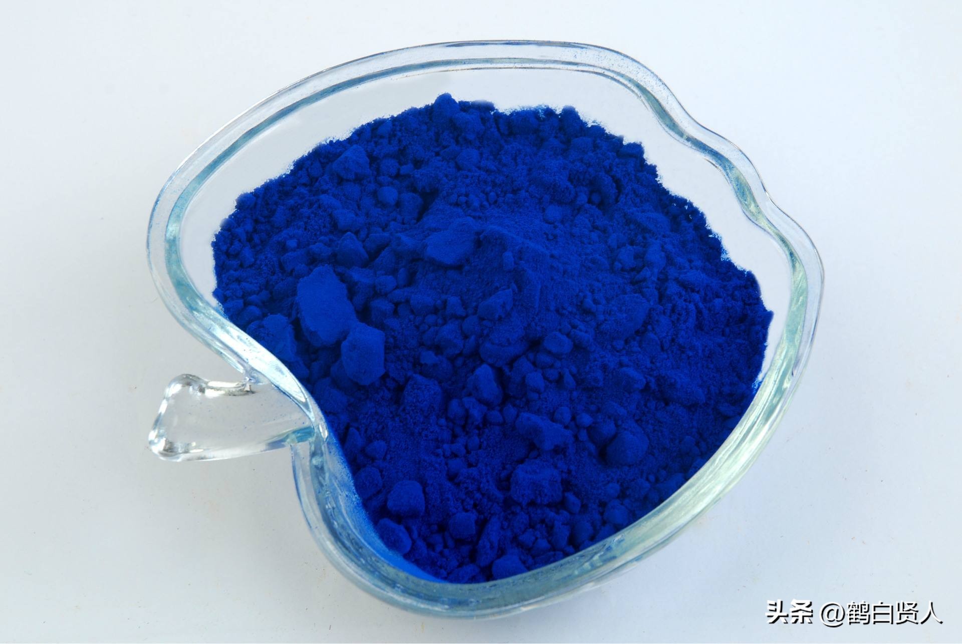 蓝藻的前世今生,蓝藻前世今生