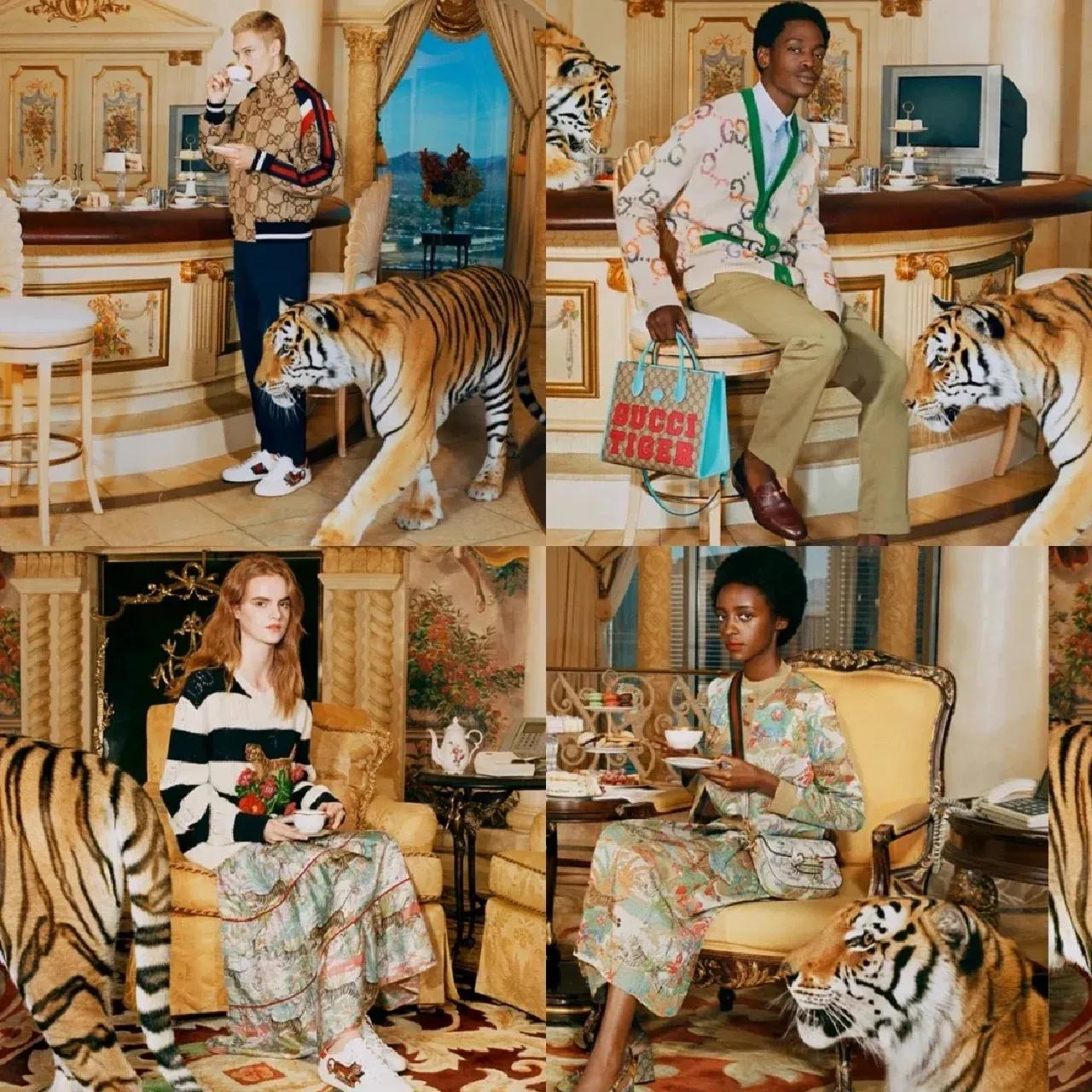 每天认识一个品牌英文,每天认识一个品牌ysl