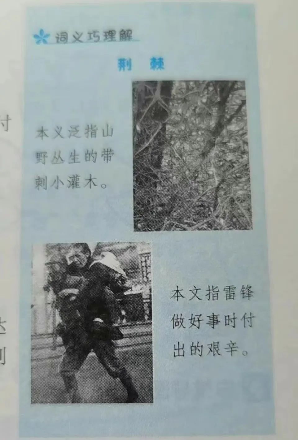 兔子集体跳湖自杀、雷锋配图竟是侵华日军……还有多少问题教辅童书?