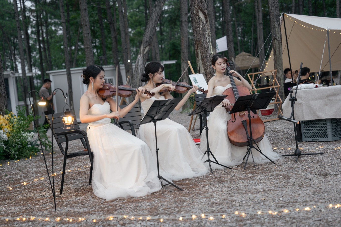 51camp安吉云松营地,帐篷营地森林音乐节