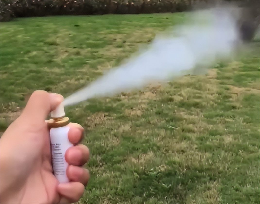 豫章书院恶性教育事件,什么叫豫章书院暴力体罚学生