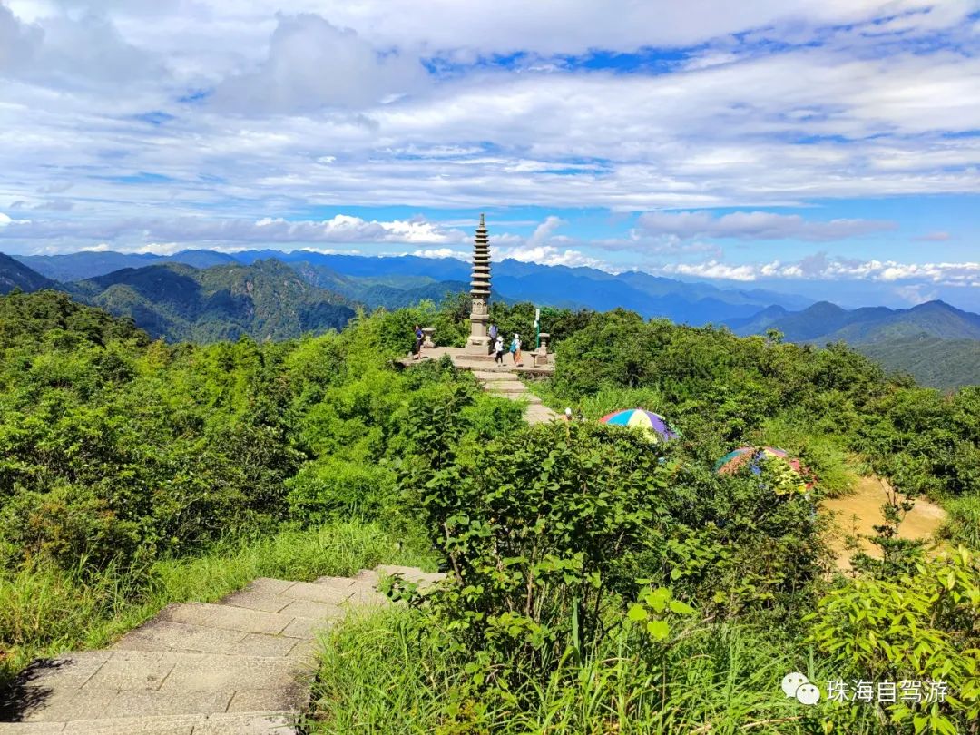 莽山五指峰景区,蟒山国家森林公园旅游攻略